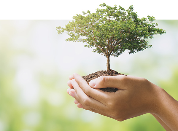 Zwei haltende Hände, die vorsichtig einen jungen, gesunden Baum mit Erde umschließen. Das Bild symbolisiert die unterstützende Kraft und das neue Lebensgefühl durch die Beatmungstherapie der VIVISOL Heimbehandlungsgeräte GmbH.